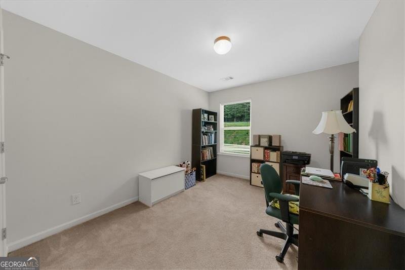 397 Cypher Drive Suwanee - 23