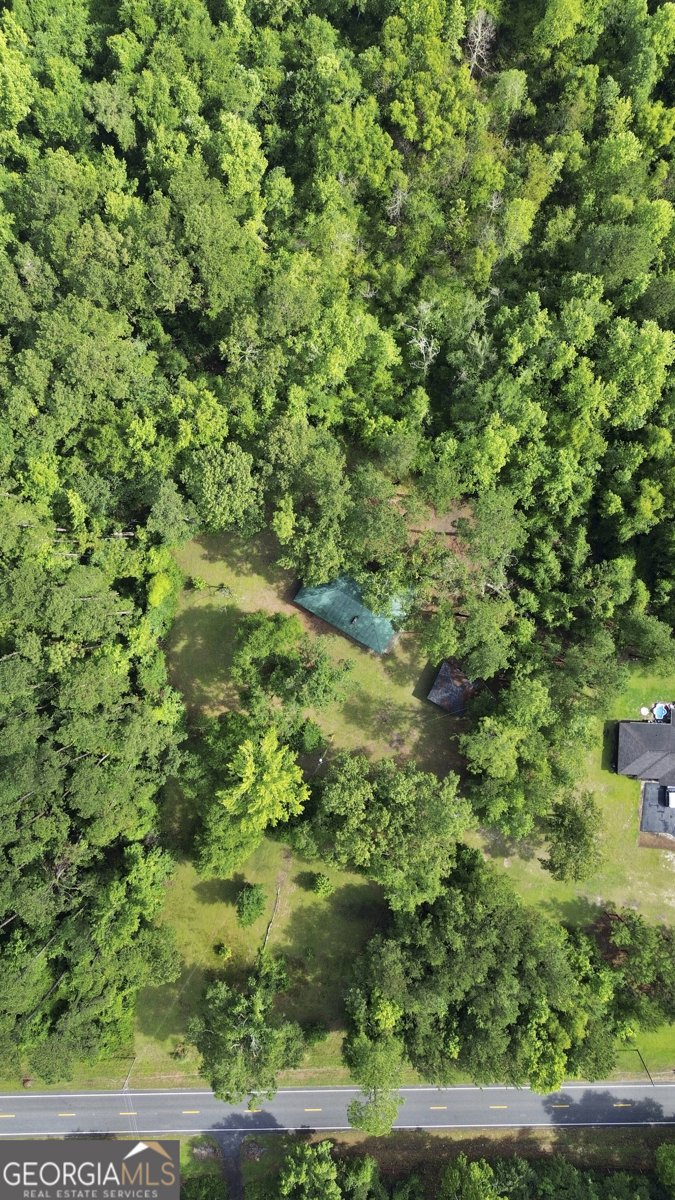 2317 Ga Highway 24 Statesboro - 28