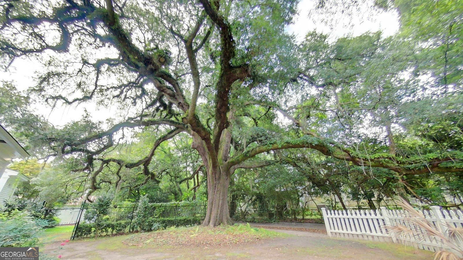 415 Fletcher Street Thomasville - 60