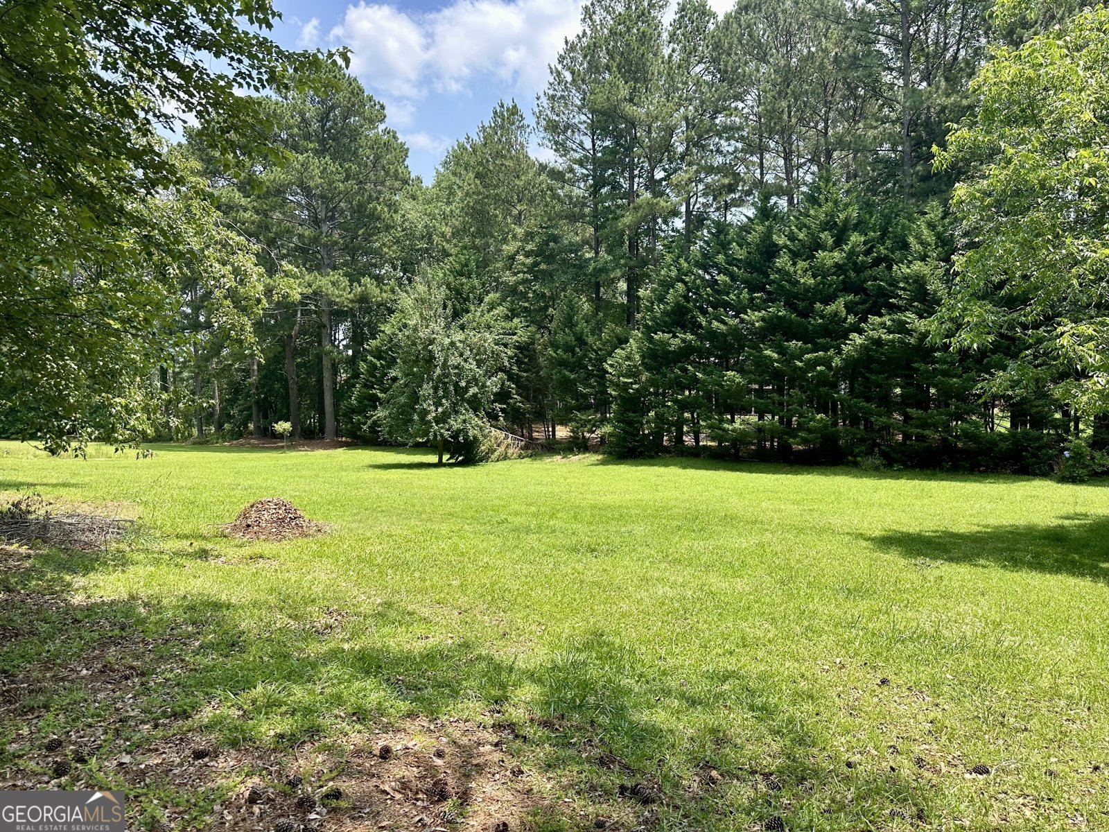 115 Cannongate Circle Sharpsburg - 28