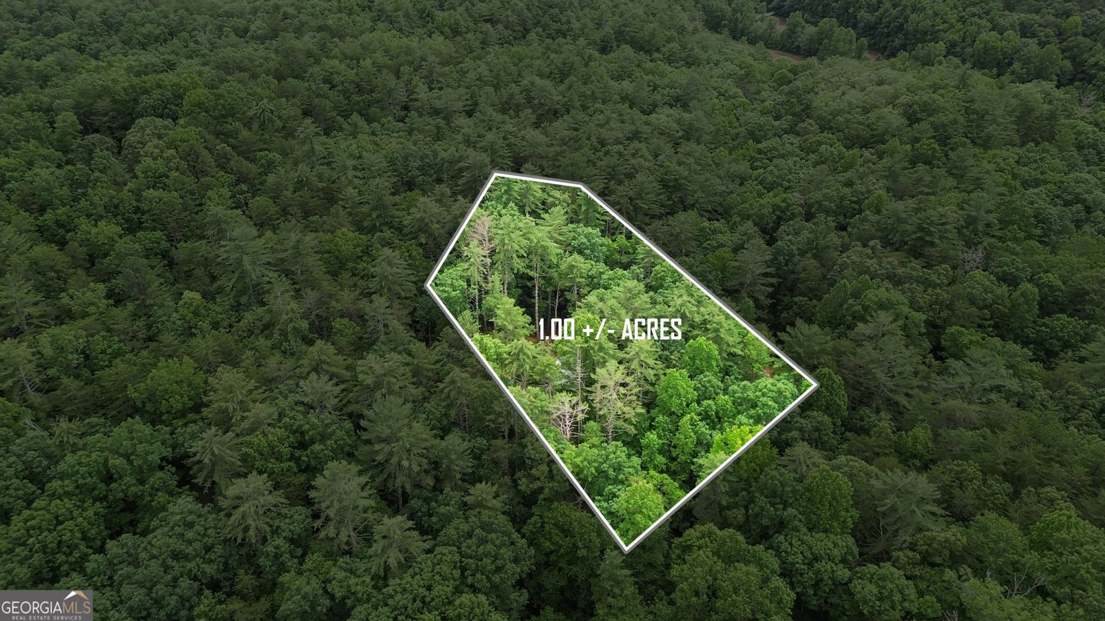 242 Eagles Nest Road Sautee Nacoochee - 23