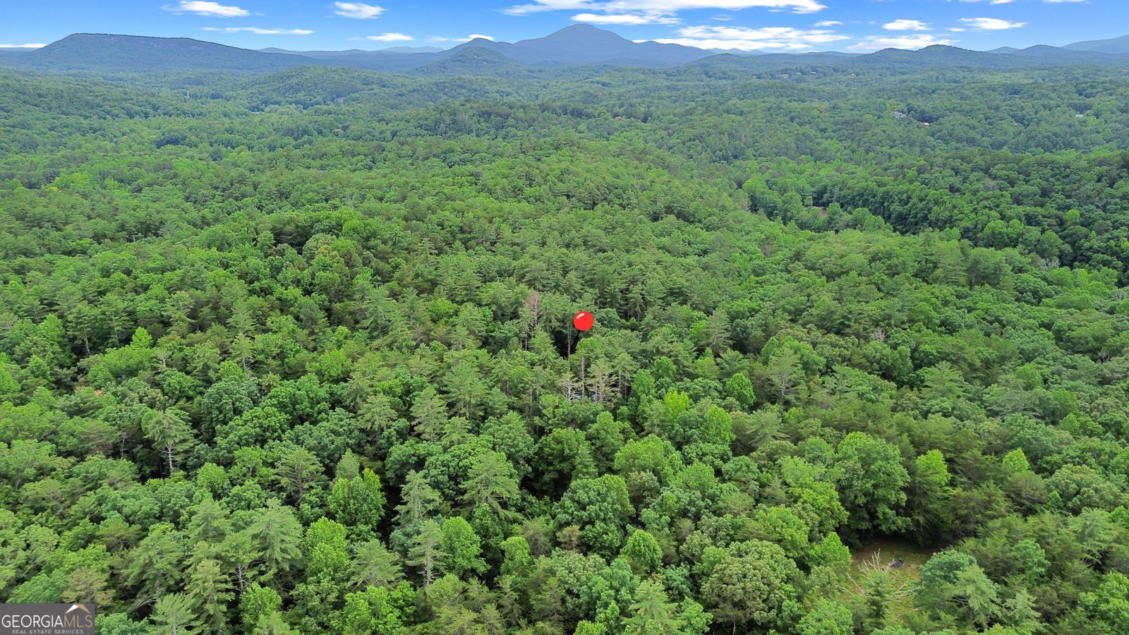 242 Eagles Nest Road Sautee Nacoochee - 24