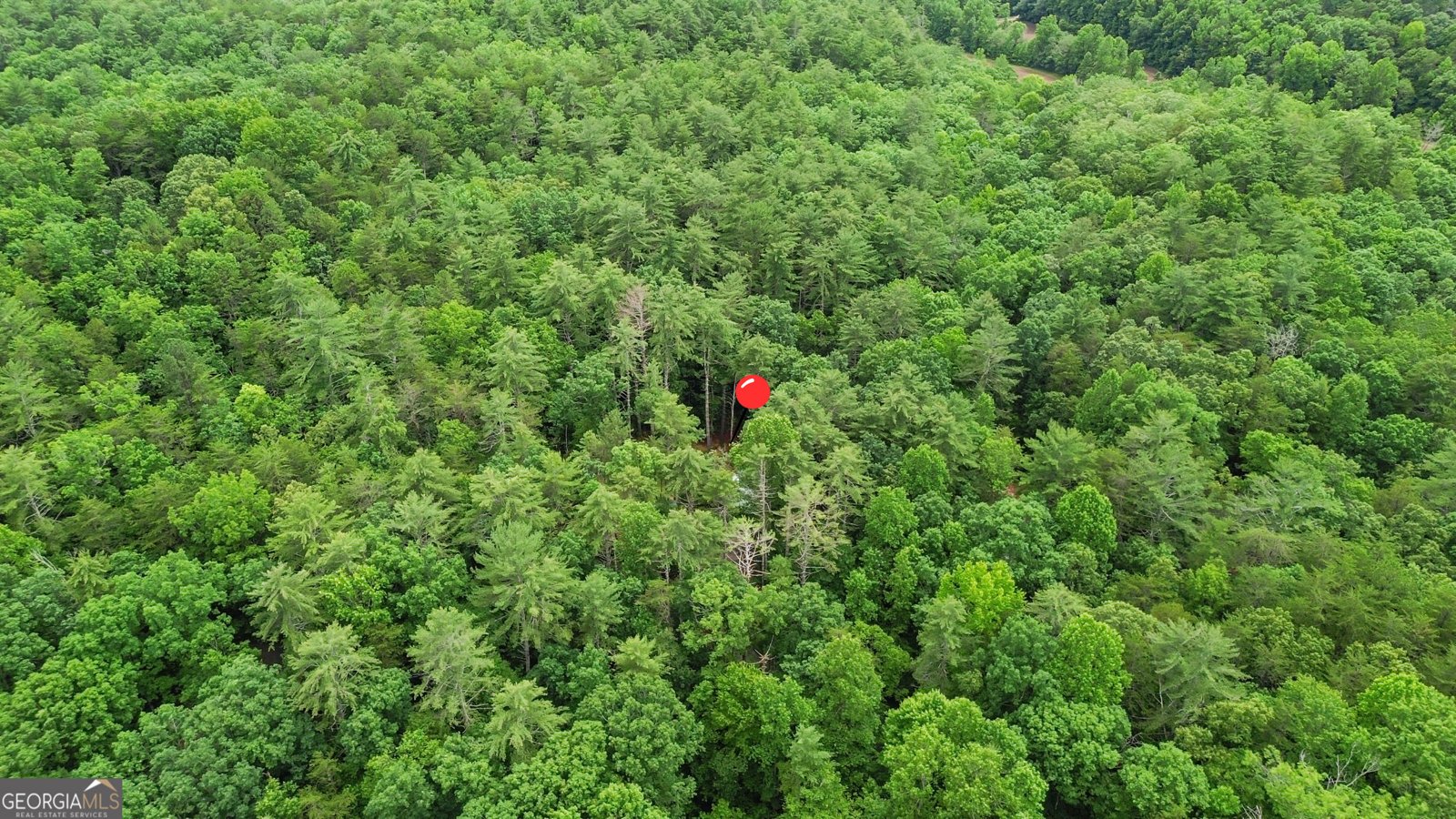 242 Eagles Nest Road Sautee Nacoochee - 26