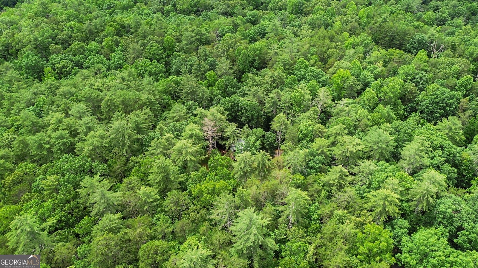 242 Eagles Nest Road Sautee Nacoochee - 27