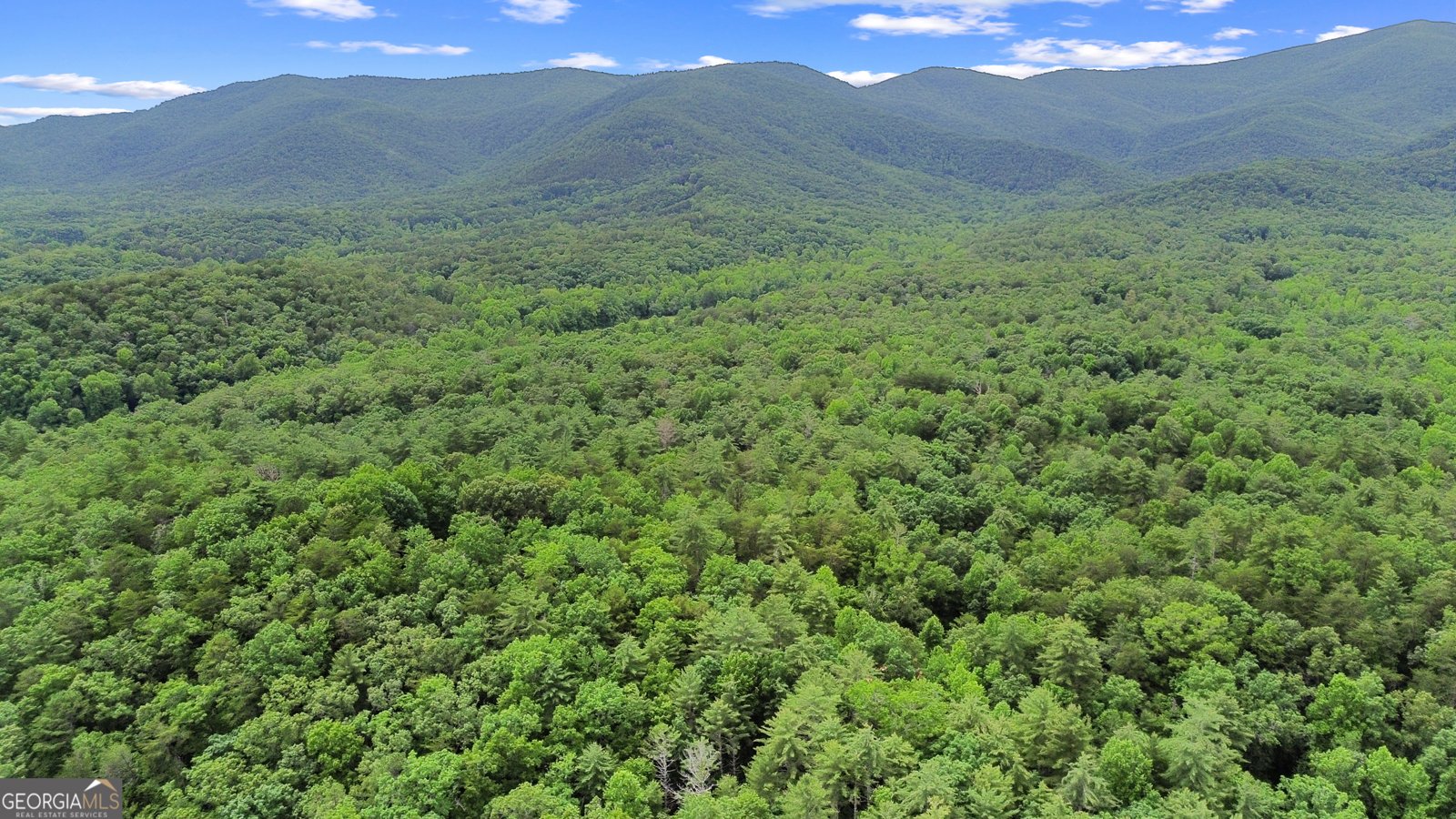 242 Eagles Nest Road Sautee Nacoochee - 28
