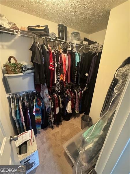 1346 Pilgrim Lake Drive Cumming - 30