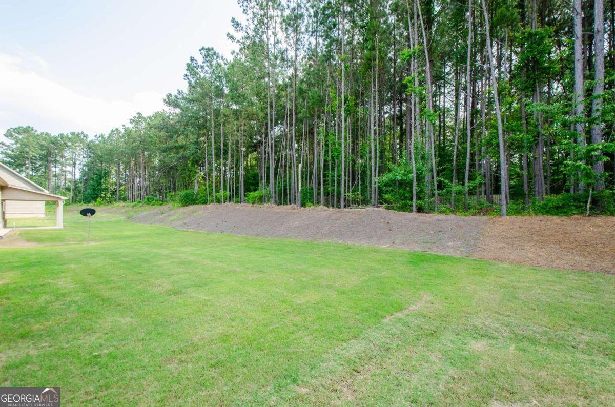 3405 Linstead Court Loganville - 43