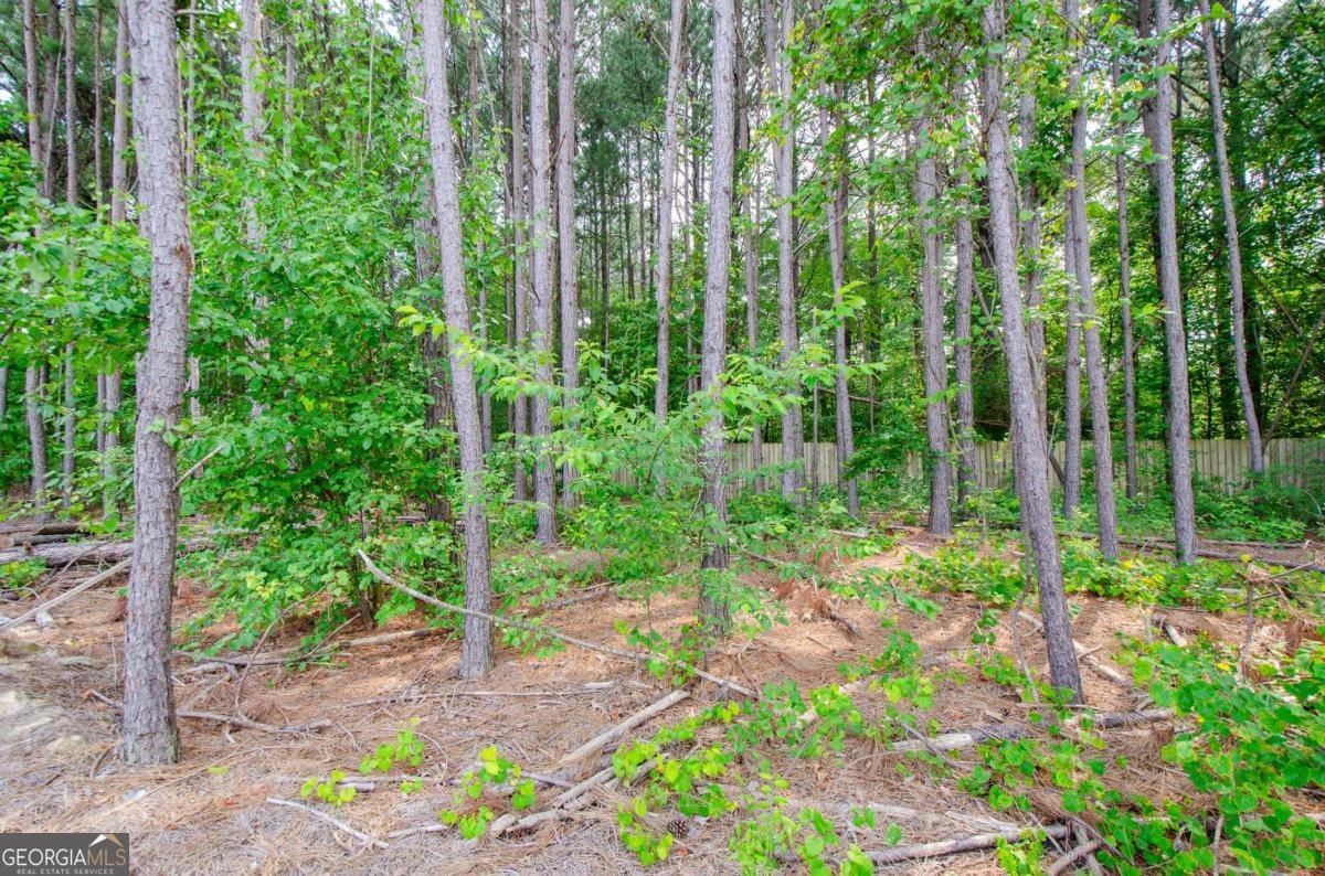 3405 Linstead Court Loganville - 46
