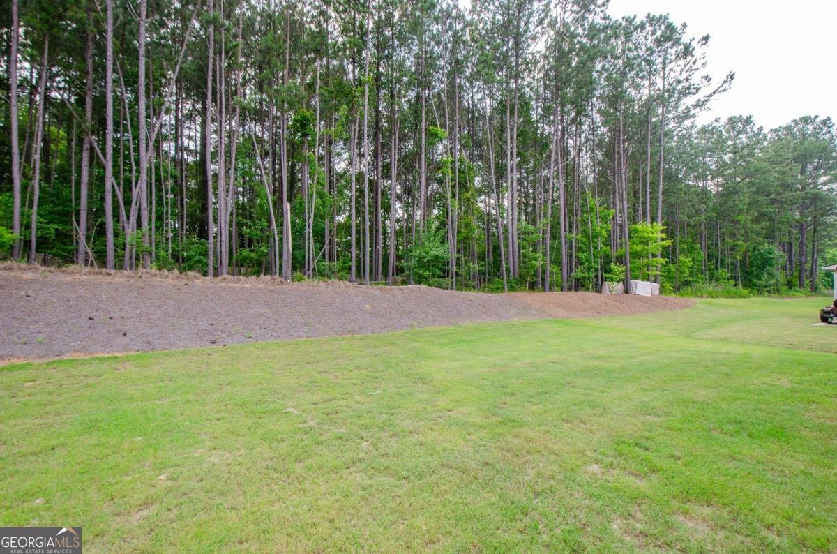 3405 Linstead Court Loganville - 47