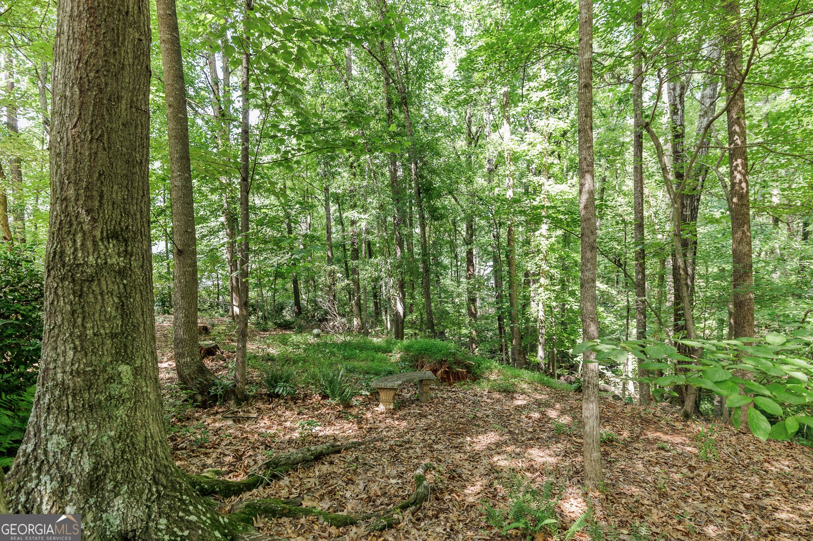 1181 Knob Creek Drive Athens - 54