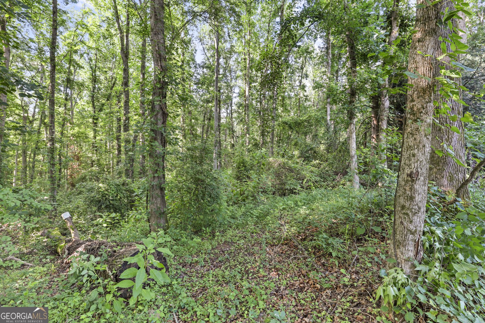 1571 Sunshine Road Toccoa - 49