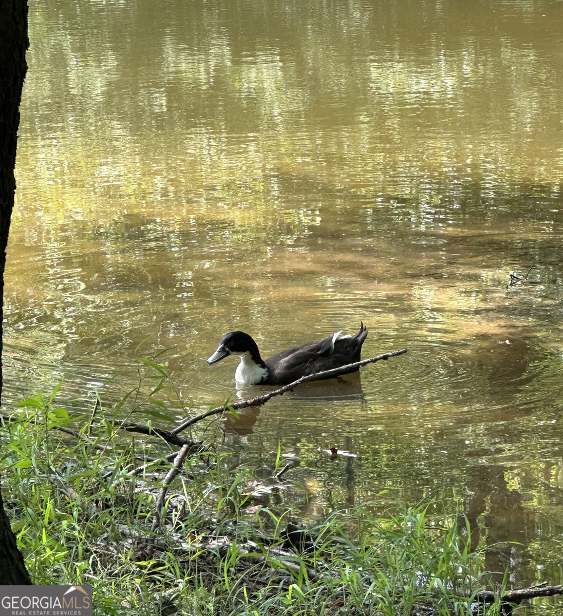 292 High Country Circle Morganton - Photo 35