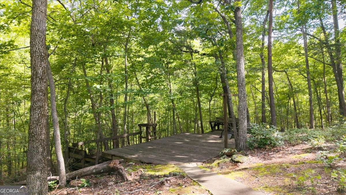 3561 Stone Drive Marietta - 78