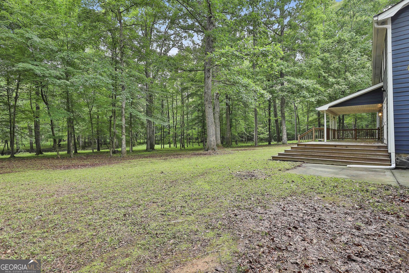 270 Carrolls Way Fayetteville - 40