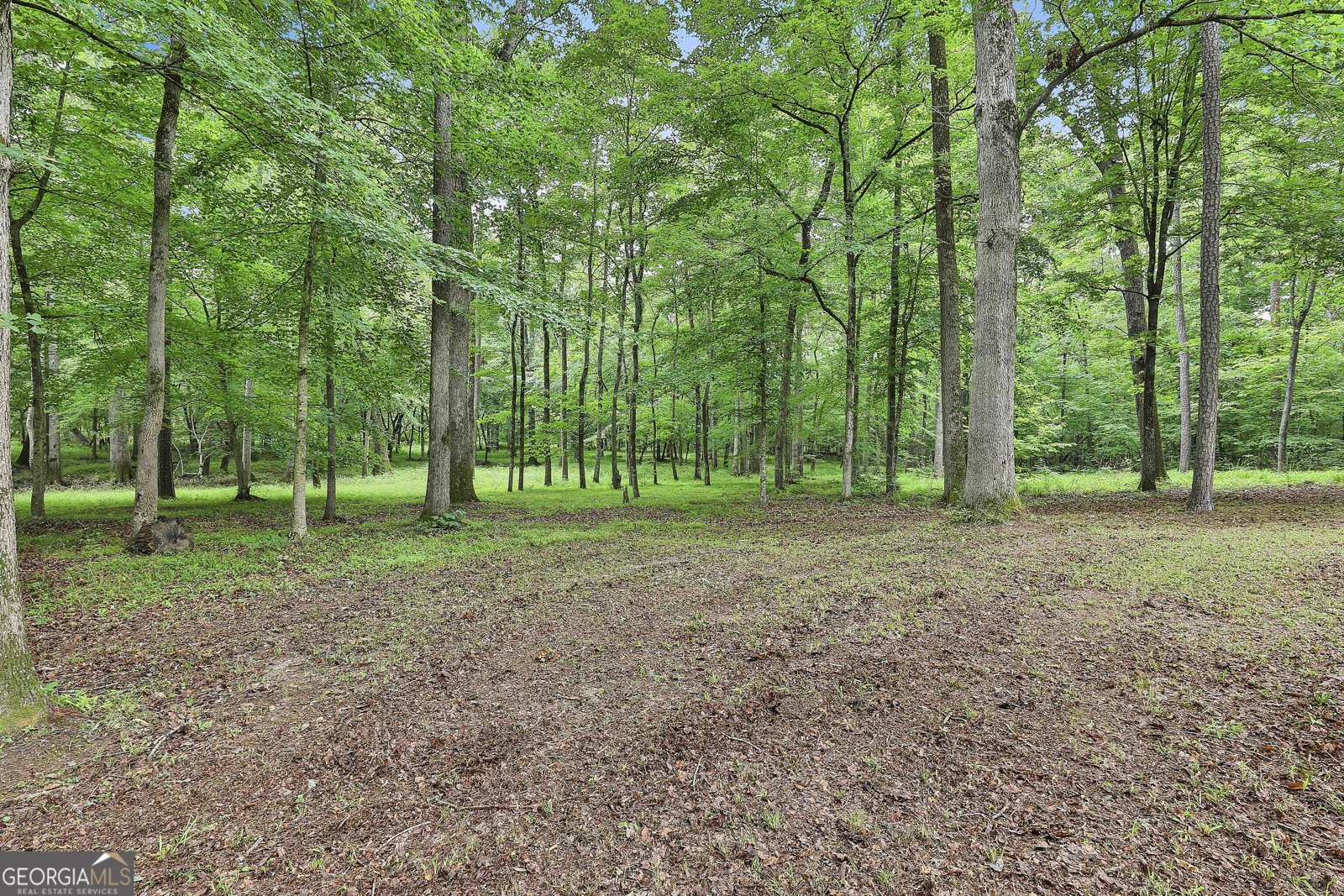 270 Carrolls Way Fayetteville - 42