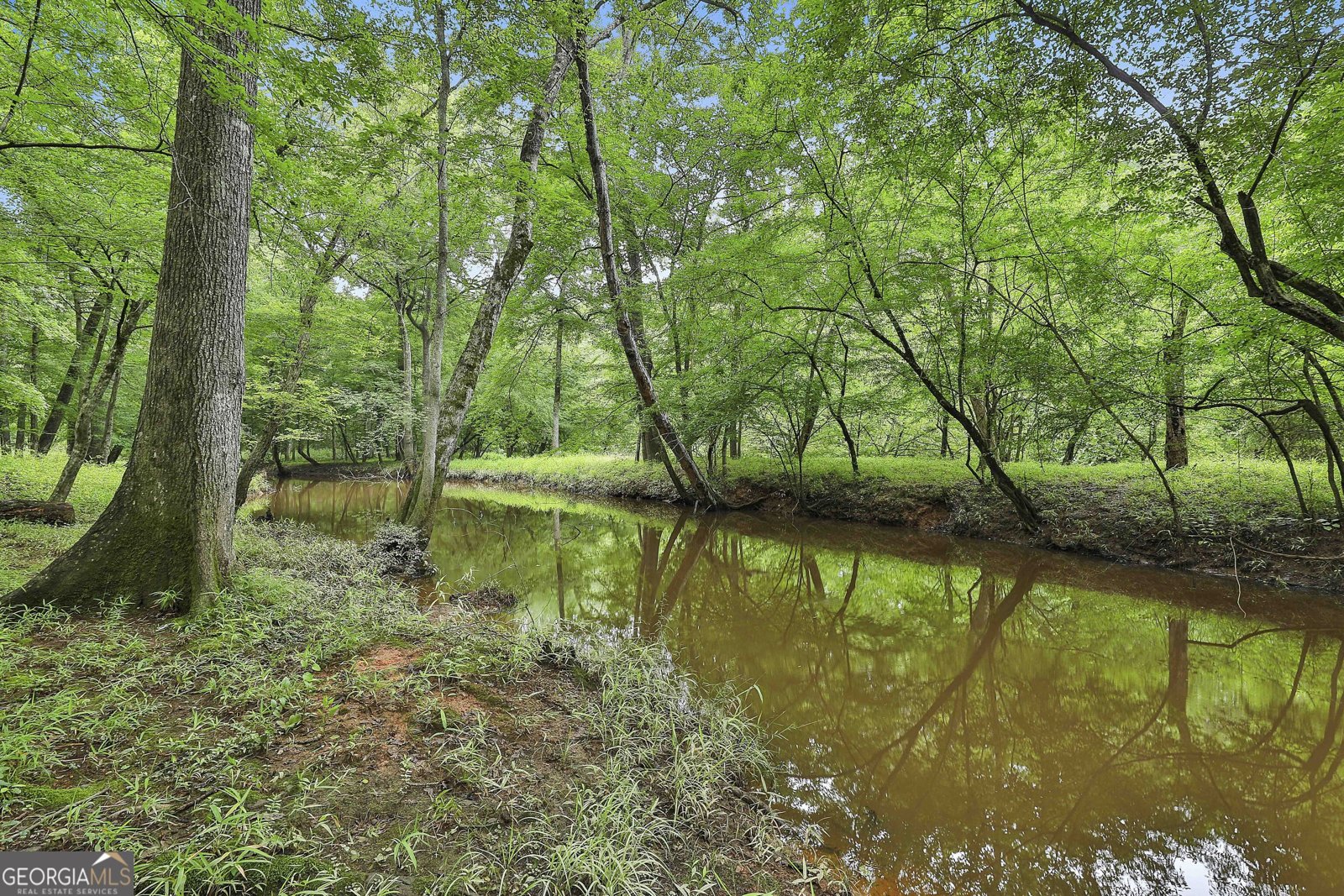 270 Carrolls Way Fayetteville - 58