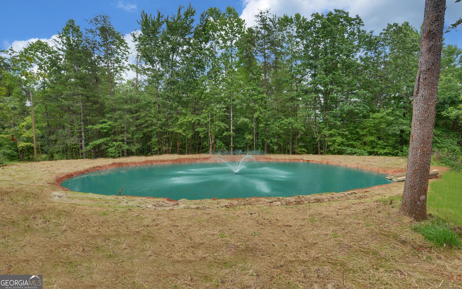 836 John Perry Road Dawsonville - 46