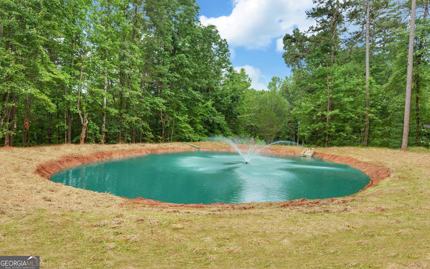 836 John Perry Road Dawsonville - 48