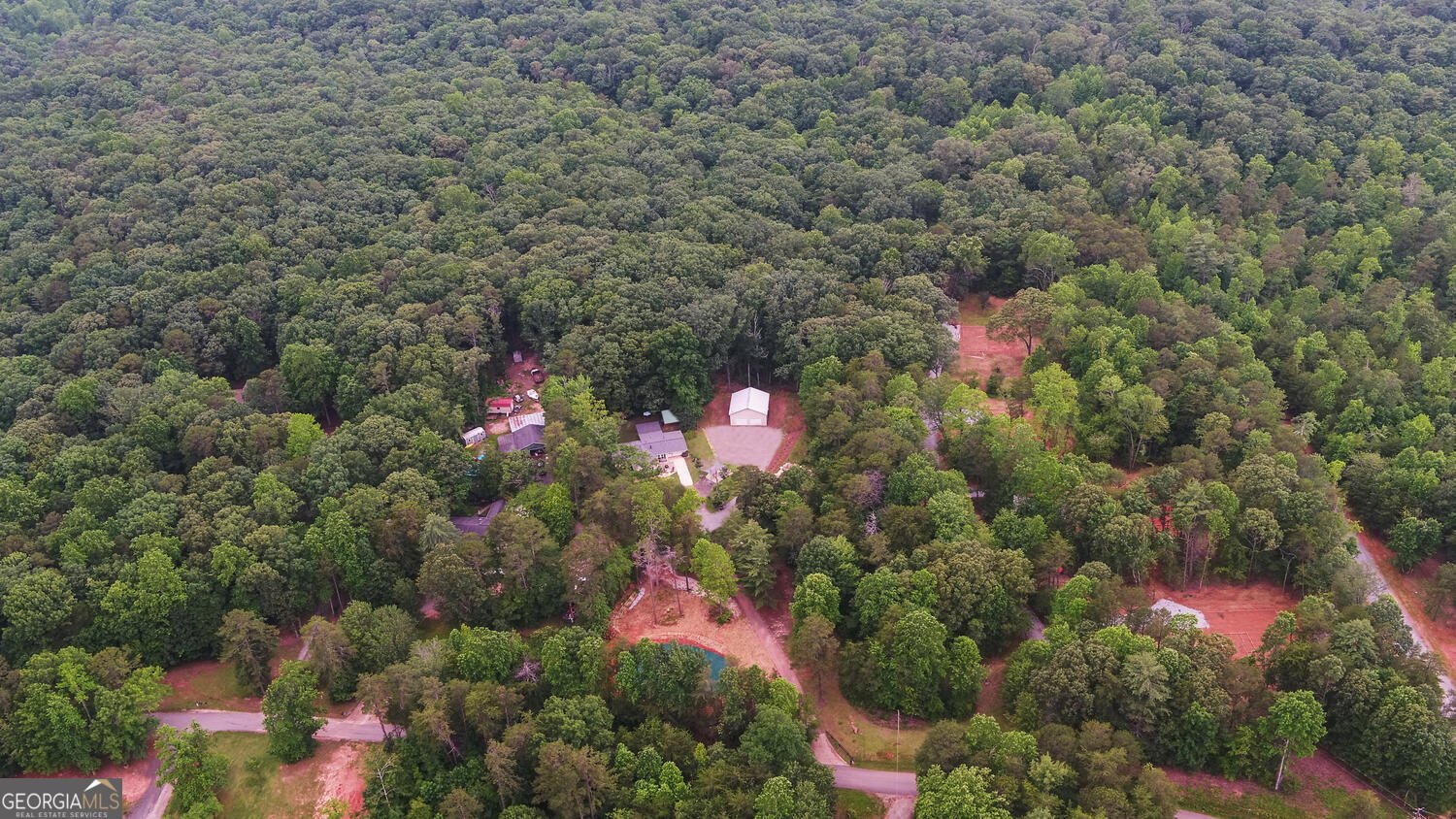 836 John Perry Road Dawsonville - 53
