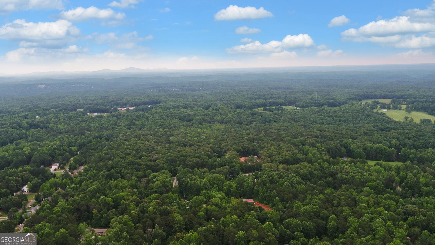 836 John Perry Road Dawsonville - 54