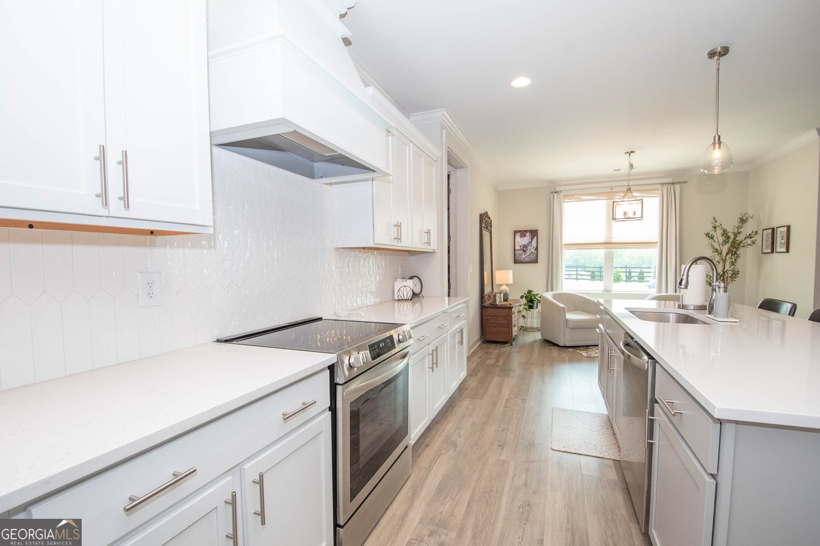 208 Township Drive Senoia - 18