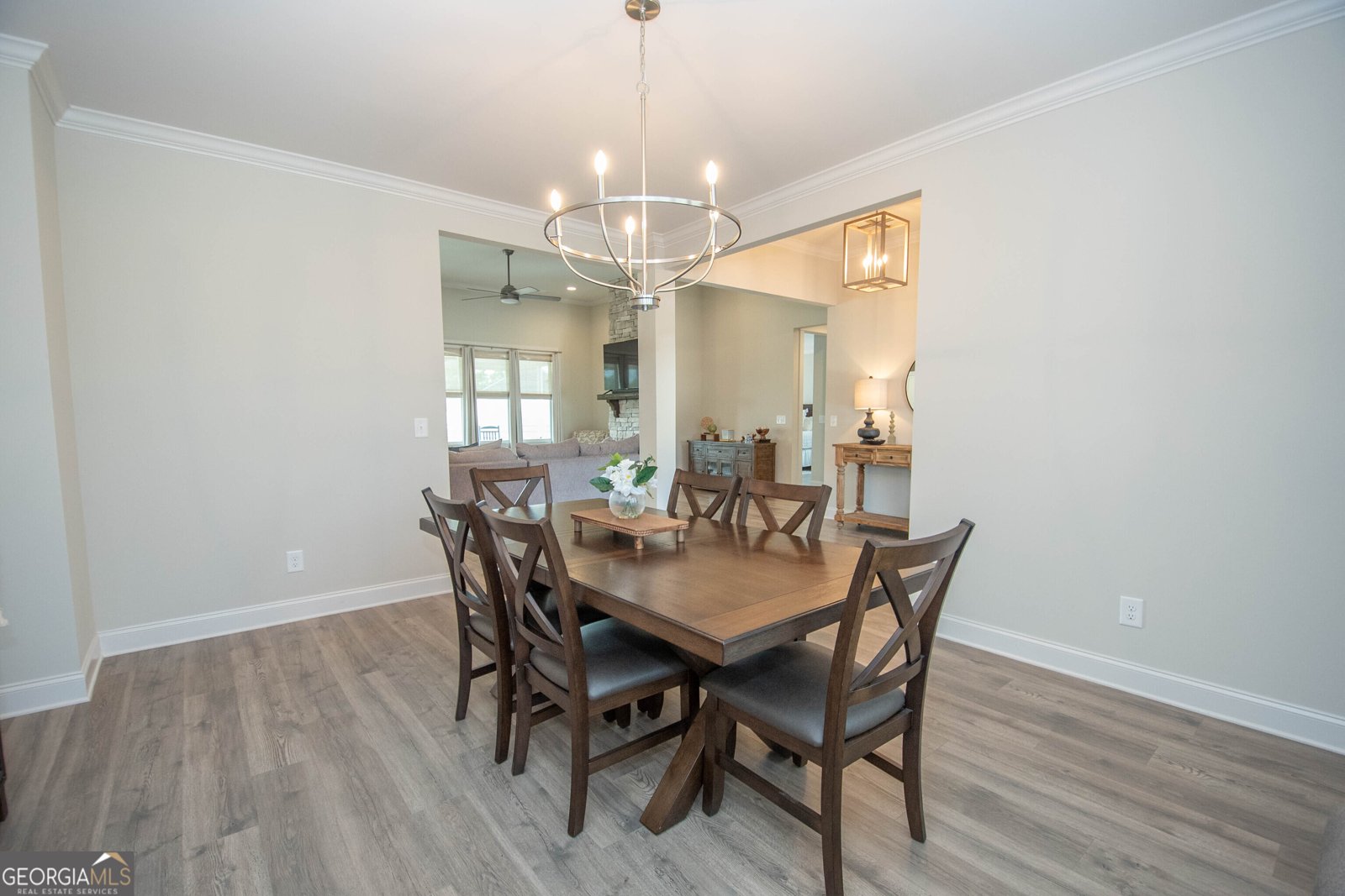 208 Township Drive Senoia - 23