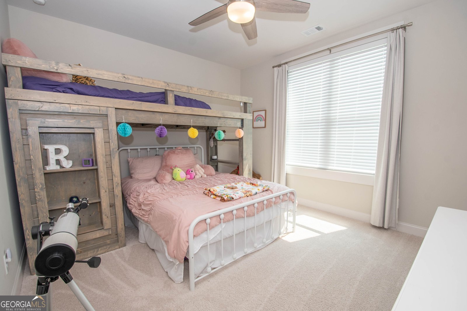 208 Township Drive Senoia - 34