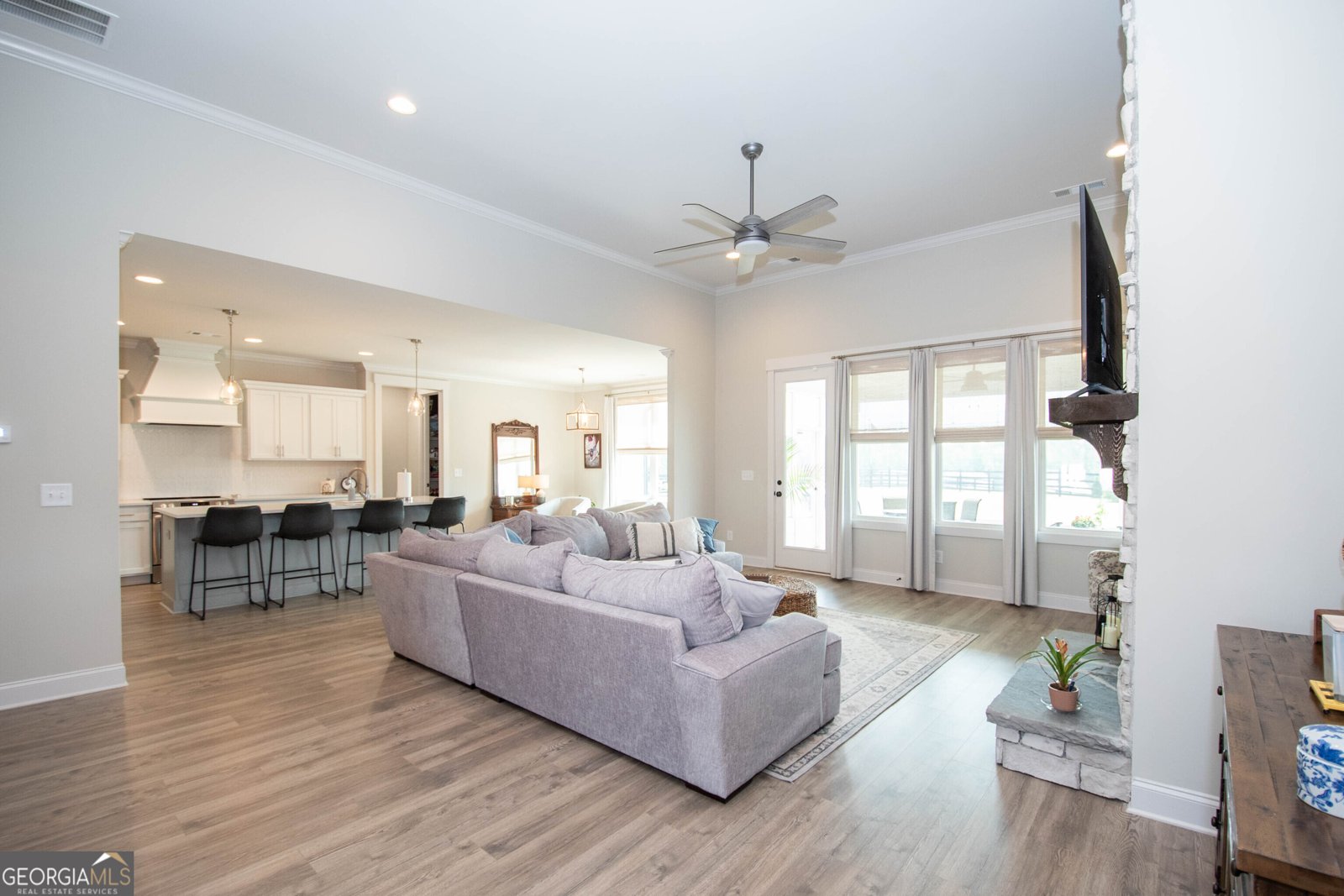 208 Township Drive Senoia - 8