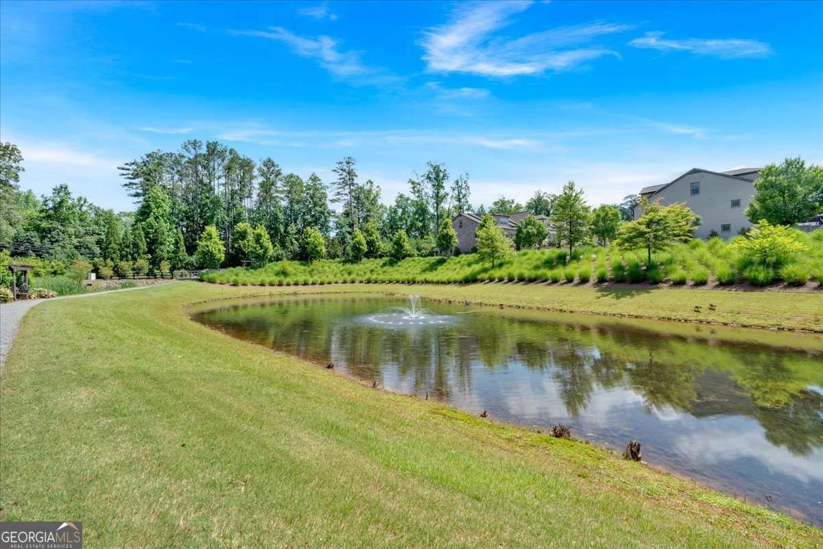 1099 Heyward Way Alpharetta - 46