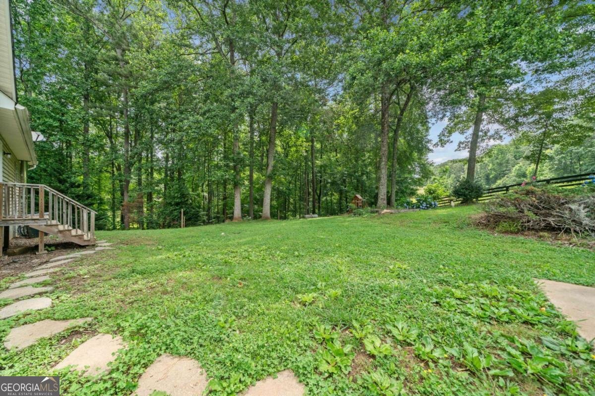1580 Lower Burris Road Canton - 17
