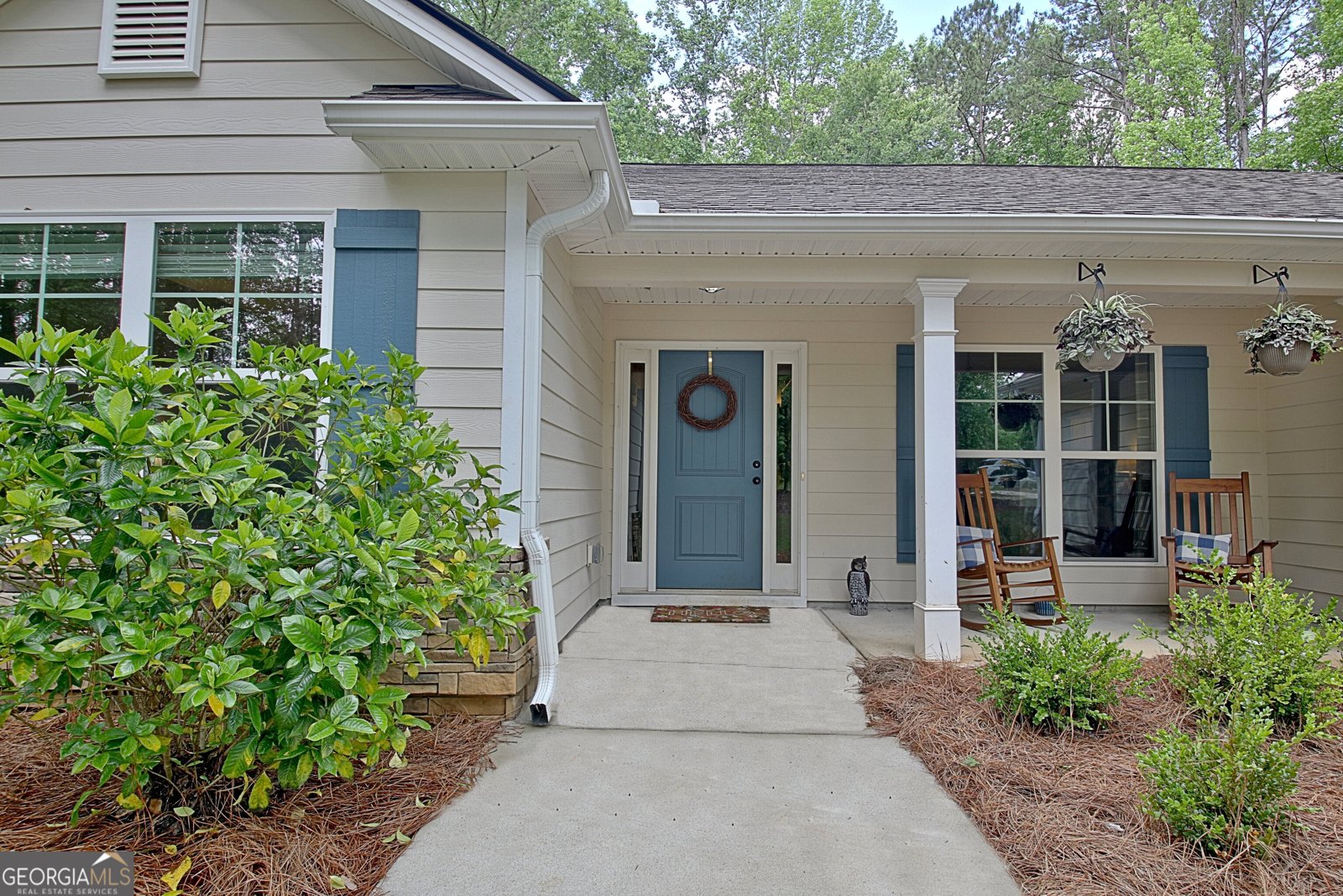 731 Nixon Road Senoia - 10