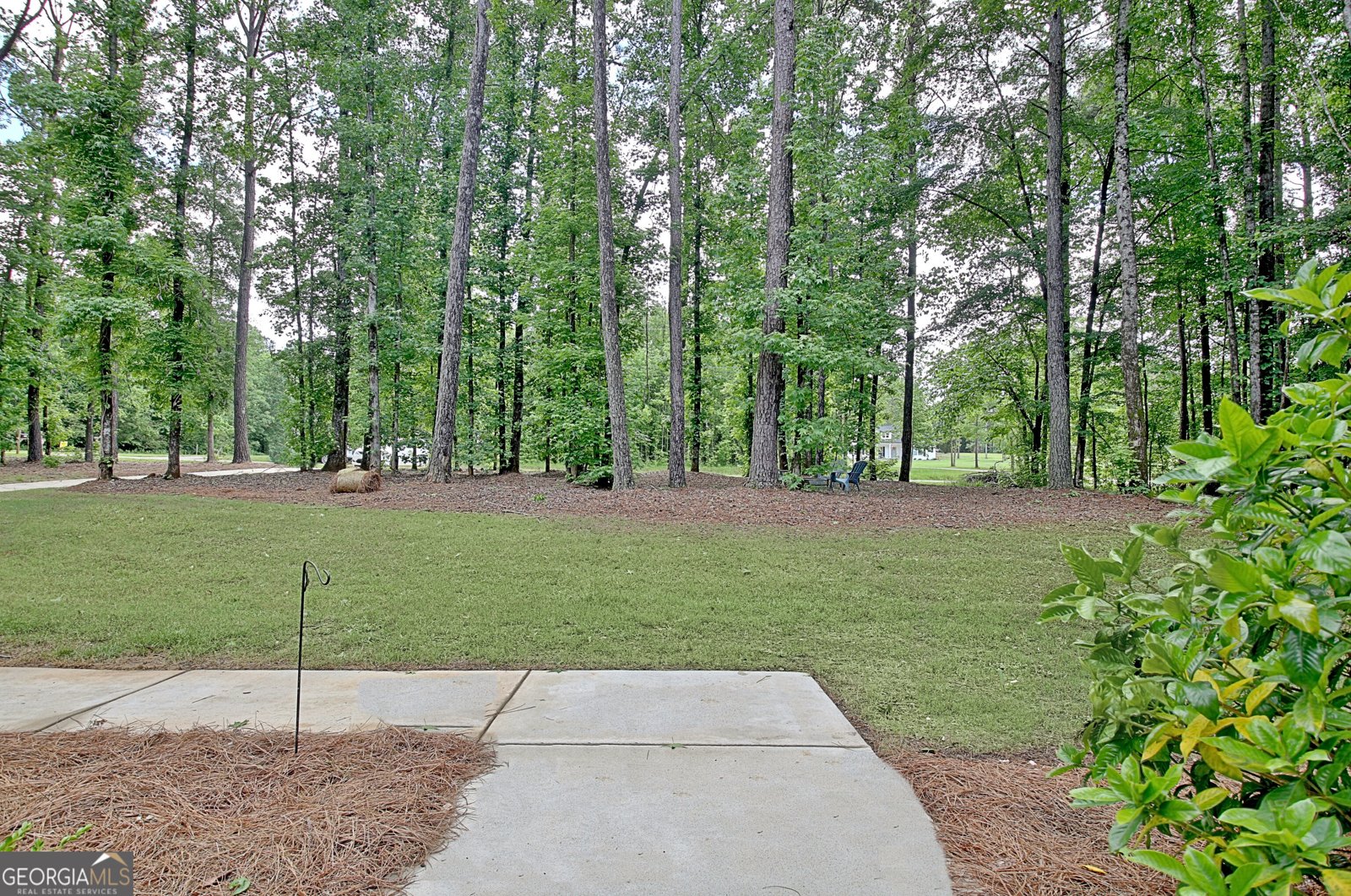 731 Nixon Road Senoia - 12