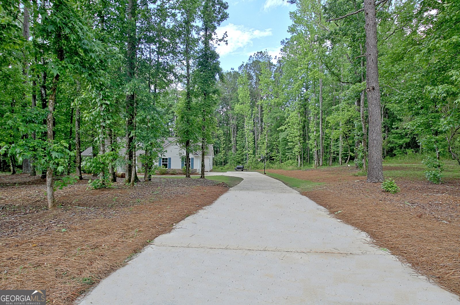 731 Nixon Road Senoia - 2