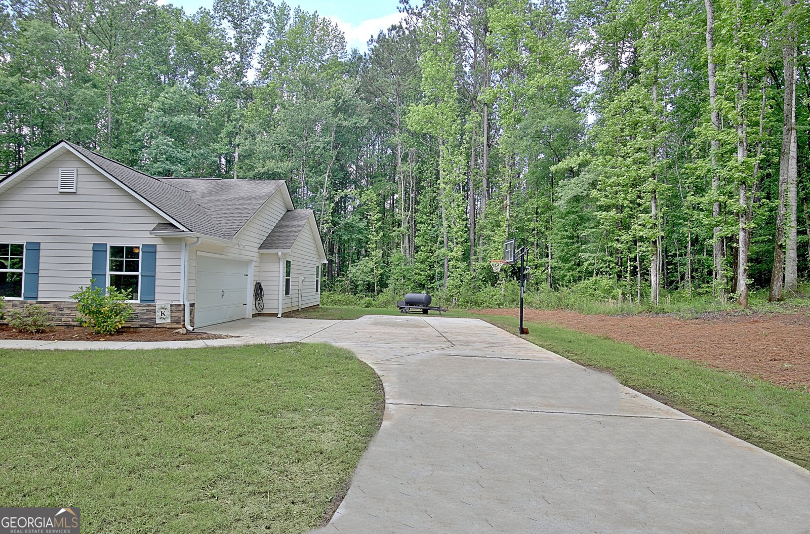 731 Nixon Road Senoia - 4