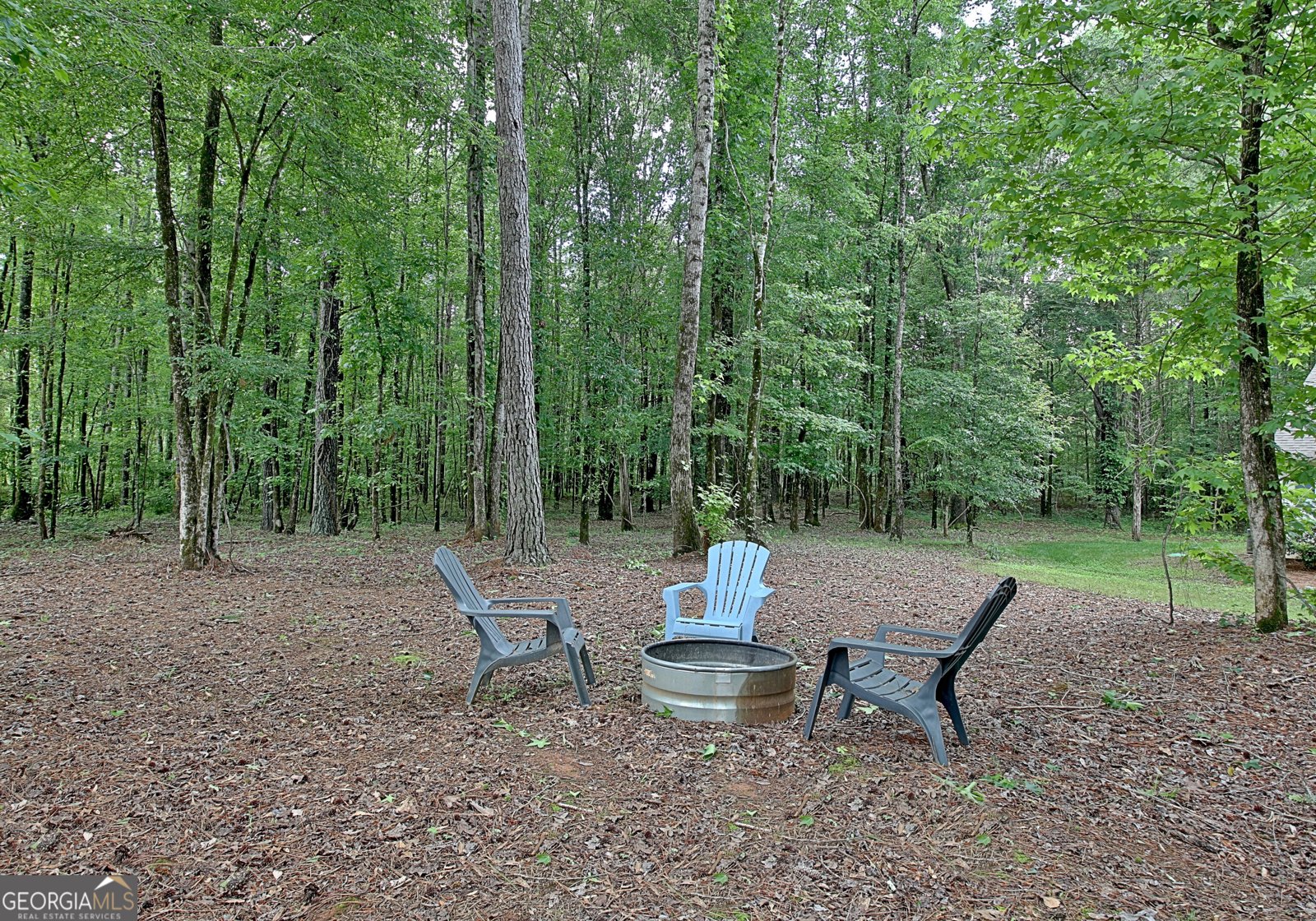 731 Nixon Road Senoia - 7