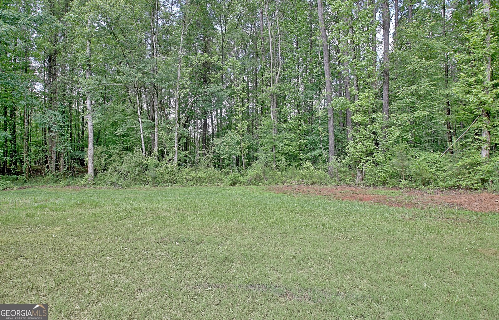 731 Nixon Road Senoia - 72