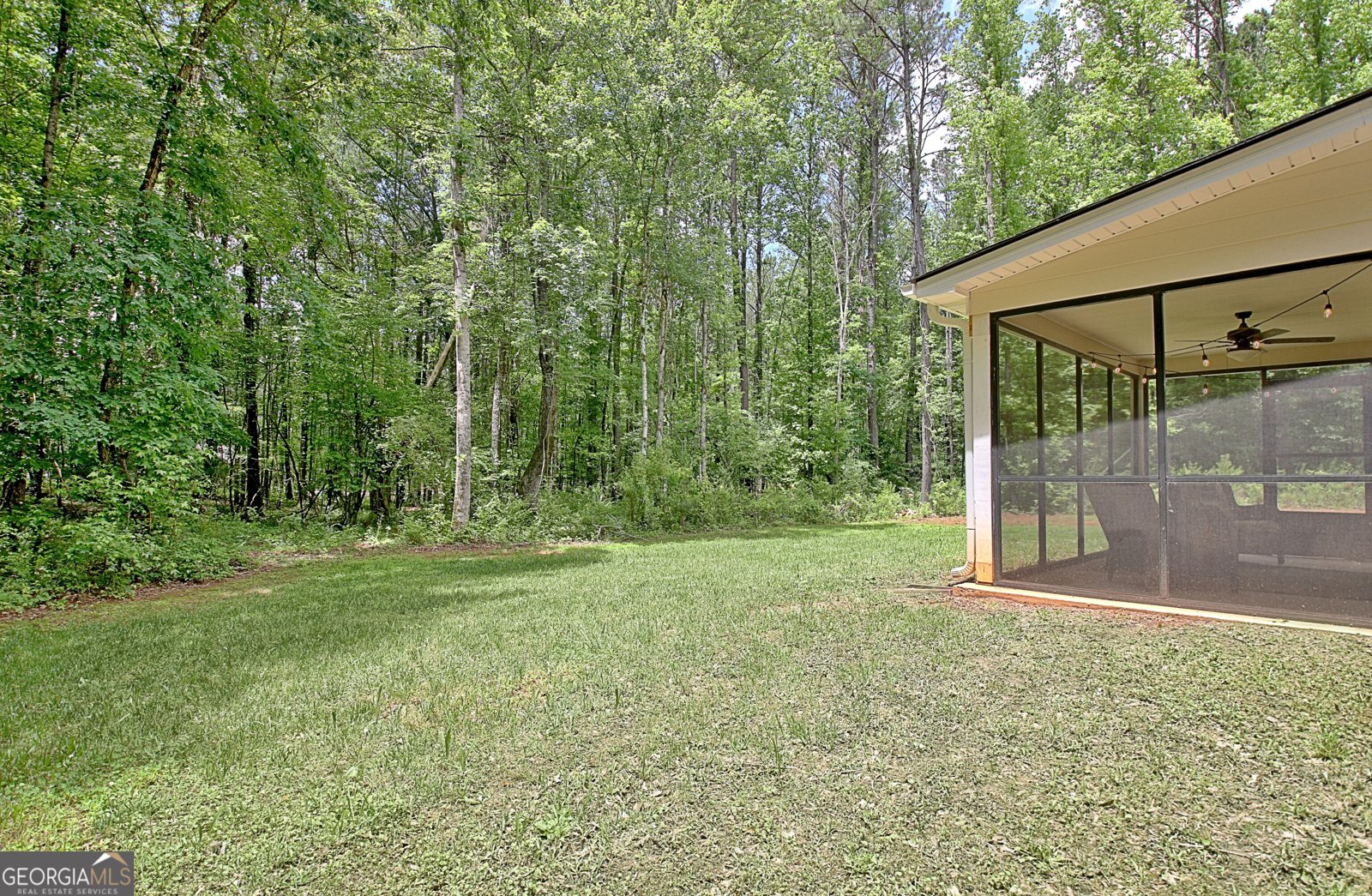 731 Nixon Road Senoia - 76