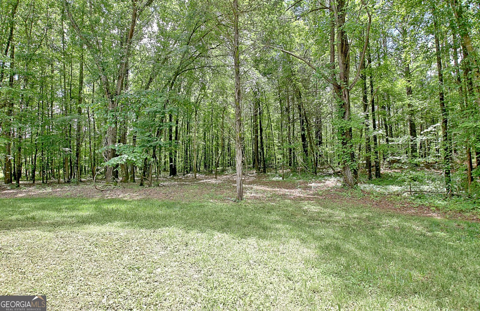 731 Nixon Road Senoia - 77
