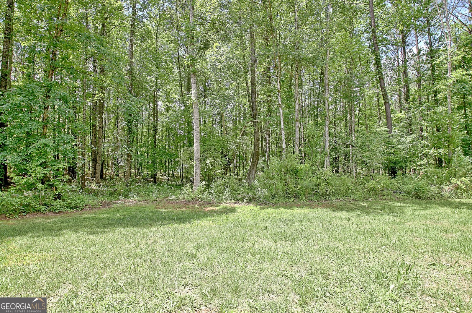 731 Nixon Road Senoia - 78