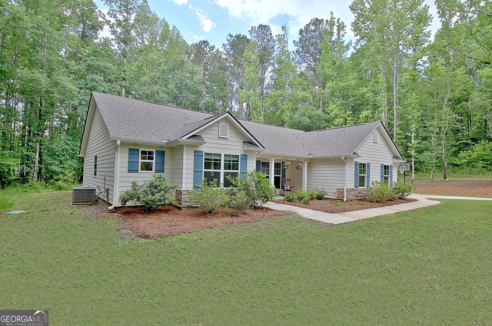 731 Nixon Road Senoia - 8