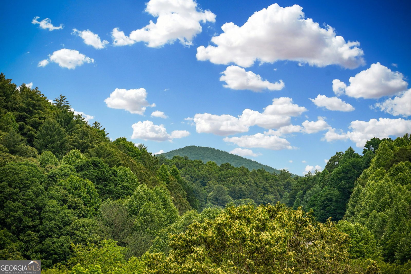2470 New Hope Road Morganton - 4