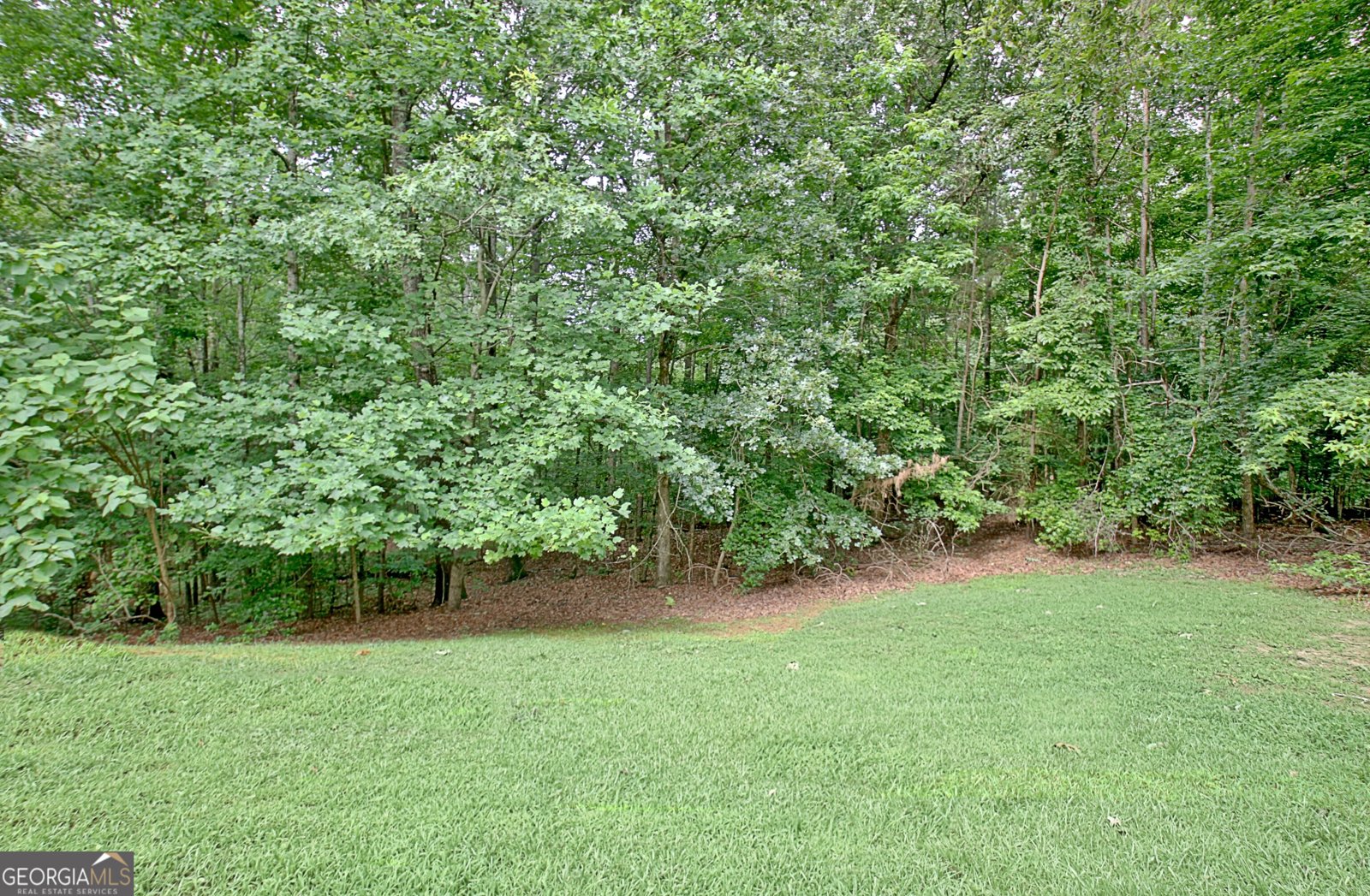 4135 Coursey Lake Road Douglasville - 65