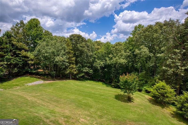 75 Harbour Ridge Drive Dawsonville - 3