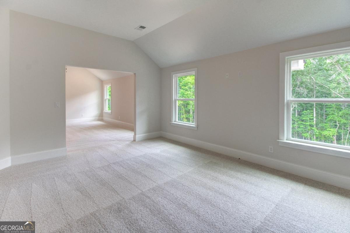 3294 Mill Forest Drive Conyers - 25