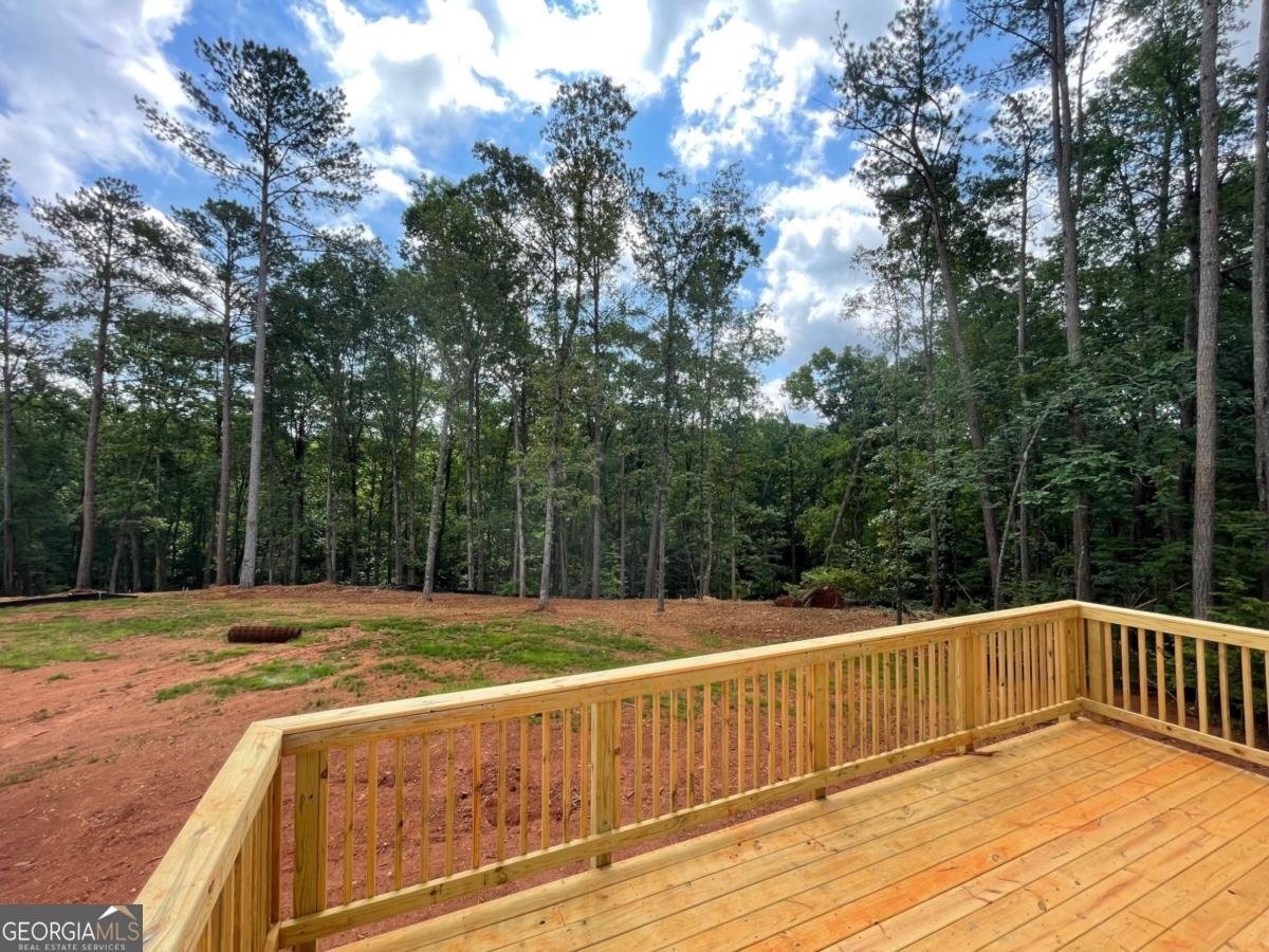 3294 Mill Forest Drive Conyers - 5