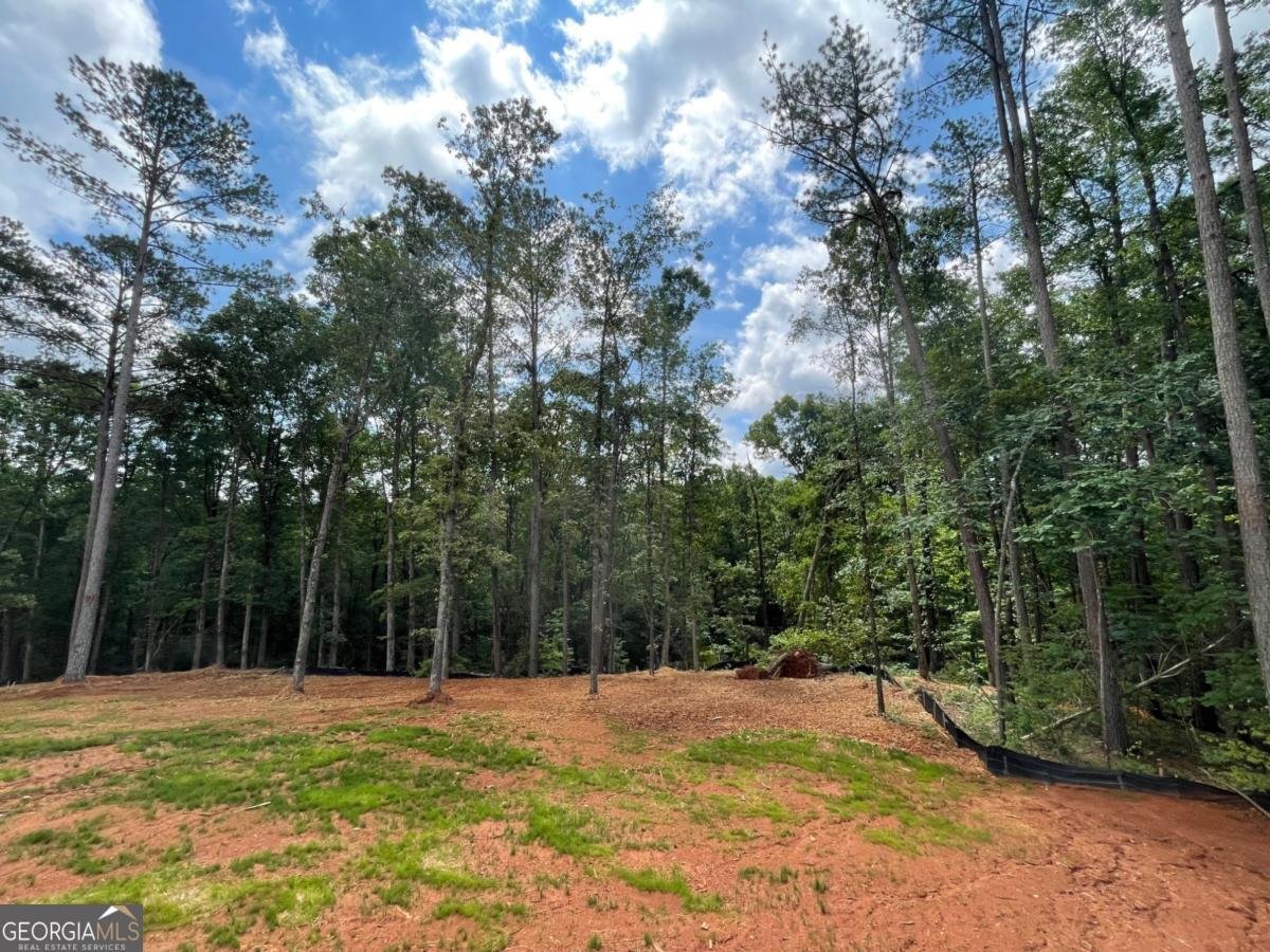 3294 Mill Forest Drive Conyers - 6