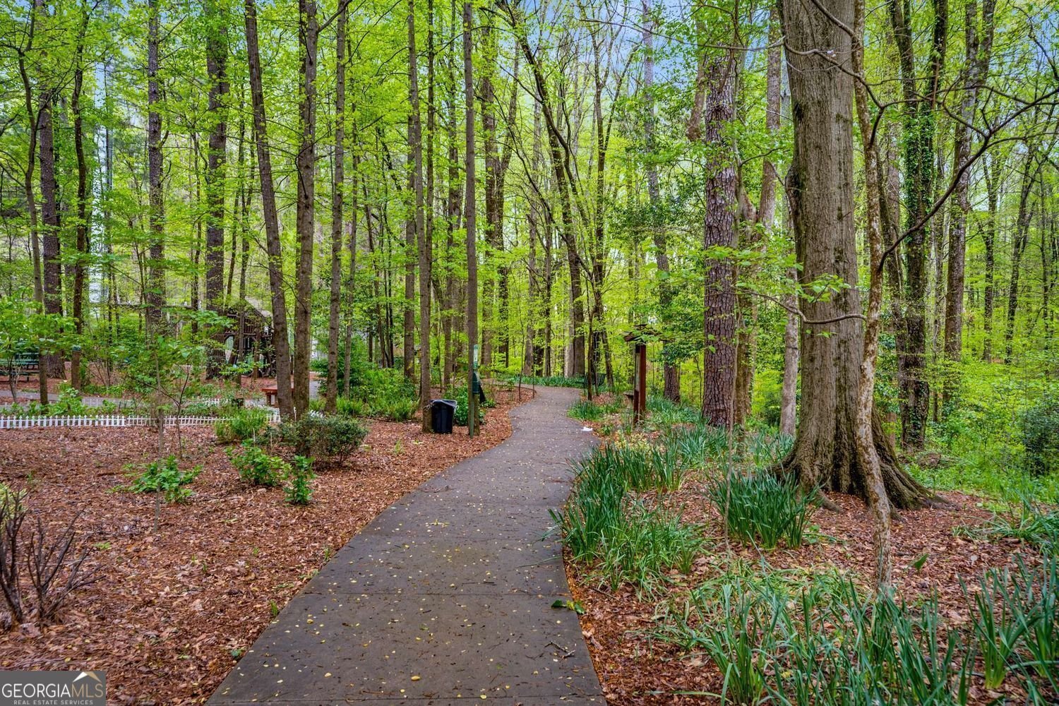 1508 Brianwood Road Decatur - 60