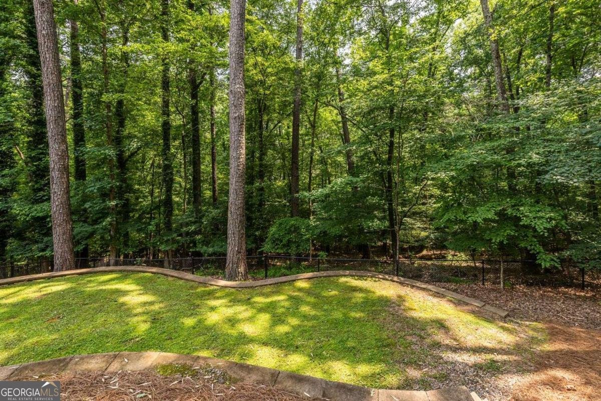 4850 Lake Fjord Pass Marietta - 62