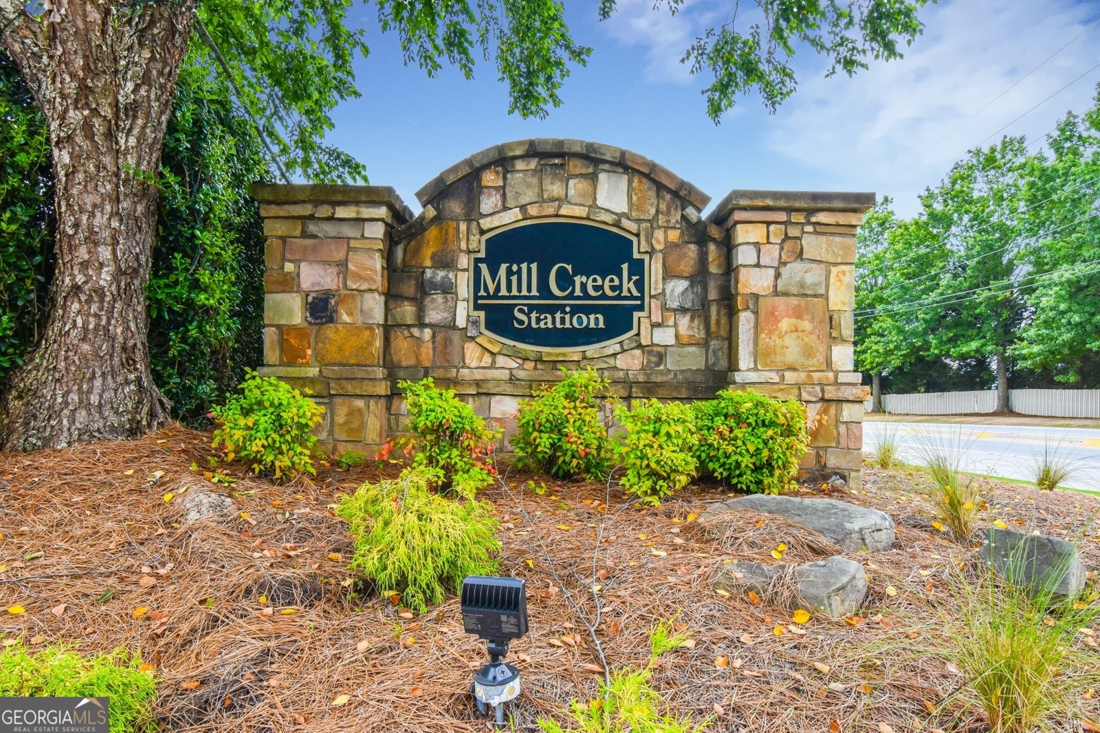 3060 McCannon Mill Drive Dacula - 38