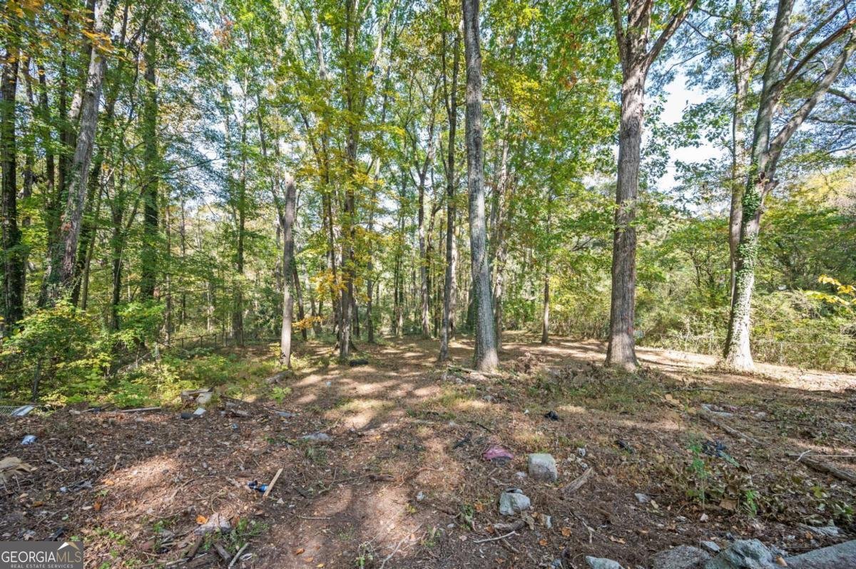 270 Bromack Drive Atlanta - 21